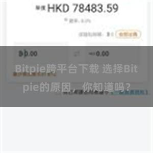 Bitpie跨平台下载 选择Bitpie的原因，你知道吗？