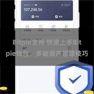 Bitpie支持 快速上手Bitpie钱包，多链资产管理技巧