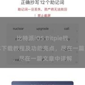 比特派iOS Bitpie钱包最新版本下载教程及功能亮点，尽在一篇文章中详解