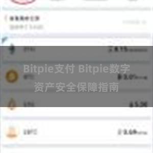 Bitpie支付 Bitpie数字资产安全保障指南