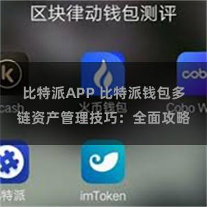 比特派APP 比特派钱包多链资产管理技巧：全面攻略