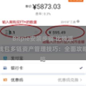 Bitpie安装步骤 比特派钱包多链资产管理技巧：全面攻略