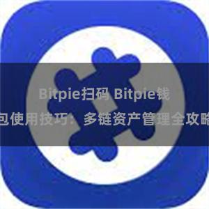 Bitpie扫码 Bitpie钱包使用技巧：多链资产管理全攻略