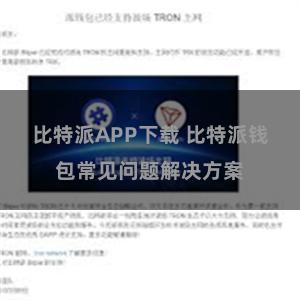 比特派APP下载 比特派钱包常见问题解决方案