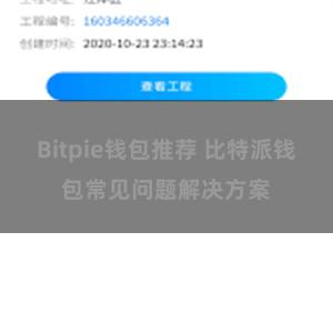 Bitpie钱包推荐 比特派钱包常见问题解决方案