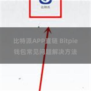 比特派APP直链 Bitpie钱包常见问题解决方法