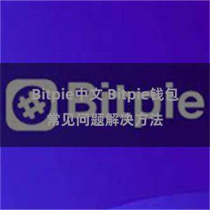 Bitpie中文 Bitpie钱包常见问题解决方法