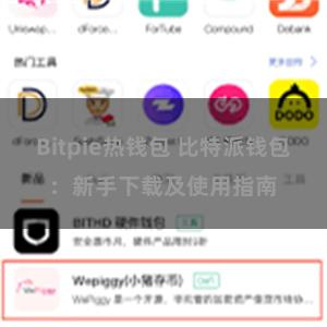 Bitpie热钱包 比特派钱包：新手下载及使用指南