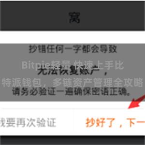 Bitpie轻量 快速上手比特派钱包，多链资产管理全攻略