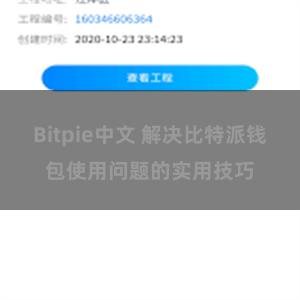 Bitpie中文 解决比特派钱包使用问题的实用技巧