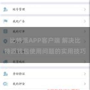 比特派APP客户端 解决比特派钱包使用问题的实用技巧