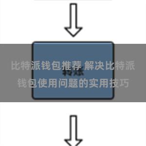 比特派钱包推荐 解决比特派钱包使用问题的实用技巧