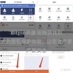 Bitpie资源 比特派钱包：强大的隐私保护功能，让您资产更安全