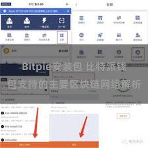 Bitpie安装包 比特派钱包支持的主要区块链网络解析