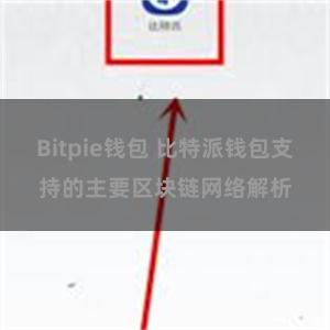 Bitpie钱包 比特派钱包支持的主要区块链网络解析