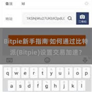 Bitpie新手指南 如何通过比特派(Bitpie)设置交易加速？