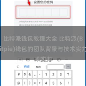 比特派钱包教程大全 比特派(Bitpie)钱包的团队背景与技术实力