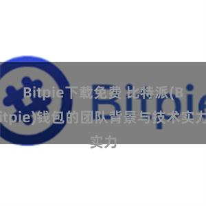 Bitpie下载免费 比特派(Bitpie)钱包的团队背景与技术实力