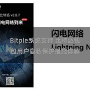 Bitpie系统支持 比特派钱包用户隐私保护措施详解