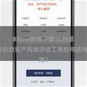 Bitpie教程下载 比特派钱包的资产风险评估工具如何使用？