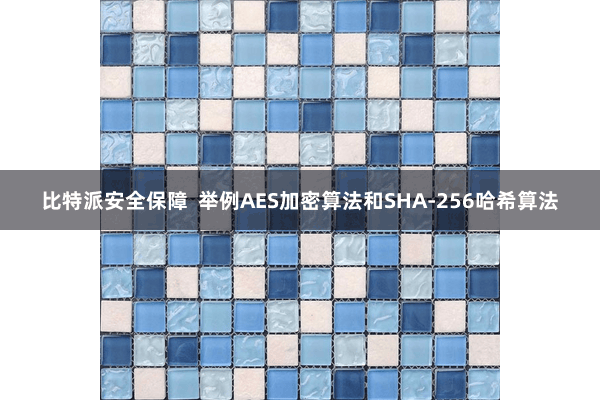 比特派安全保障  举例AES加密算法和SHA-256哈希算法