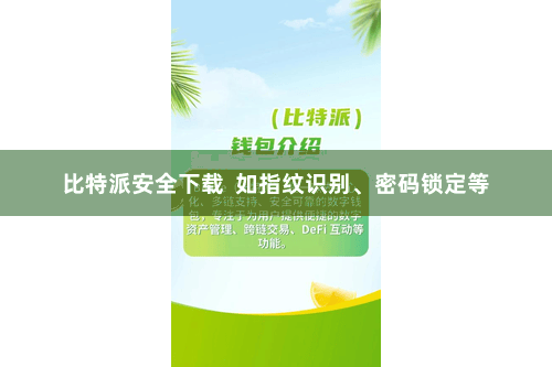 比特派安全下载  如指纹识别、密码锁定等