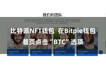 比特派NFT钱包  在Bitpie钱包首页点击“BTC”选项