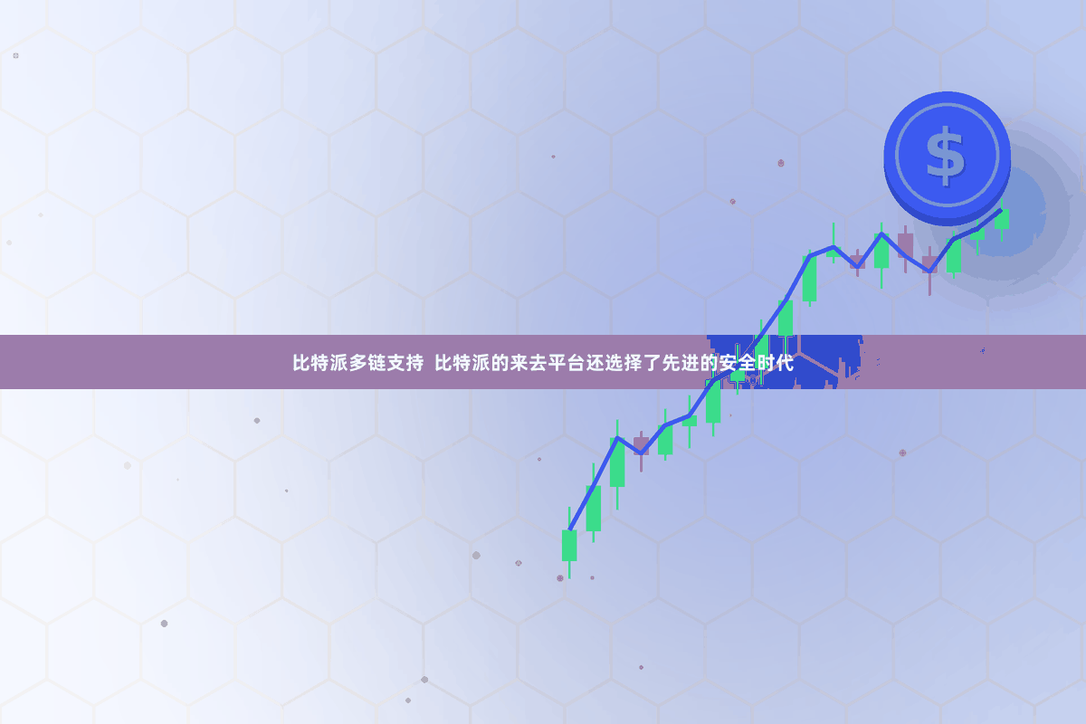比特派多链支持 比特派的来去平台还选择了先进的安全时代